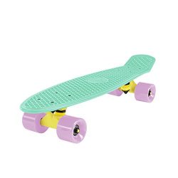 Cal 7 Mini Cruiser Skateboard Complete 22 Inch Standard Style Plastic Board Penny Style (Icy Gre ...