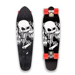 Cruiser Skateboard,Pagacat 27 Inch Beach Retro Complete Wood Longboard for Beginner Adults Teen[ ...