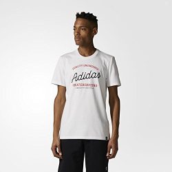 adidas Originals Men’s Skateboarding Chainscript Tee, White/Scarlet/Black, M