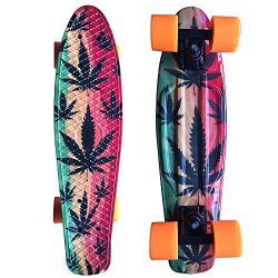 CHI YUAN 22 Inch Plastic Graphic Skateboard Urban Cruiser Board Complete Leaves