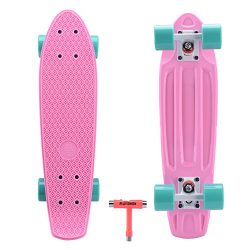 Playshion 22 Inch Beginners Skateboard With Tool For kids age 3-12