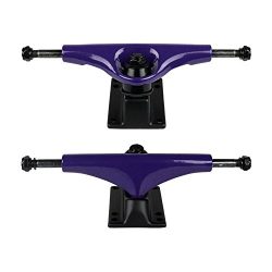 Havoc 5.0 Skateboard Trucks, Purple