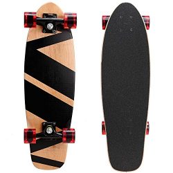 Oanon 31 Inch Complete Skateboards 9 Layer Maple Wood Deck Skate Board (Black)