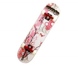 Punisher Skateboards 9001 Cherry Blossom Complete Skateboard, Red, 31-Inch