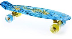 Merkapa 22″ Complete Skateboard with Colorful LED Light Up Wheels for Beginners (Sea Horse)